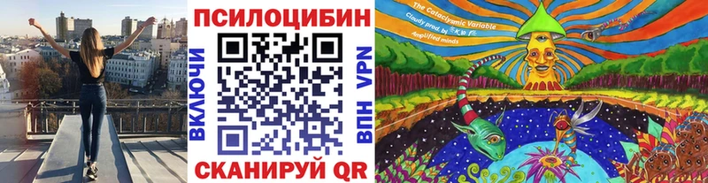 даркнет сайт  Топки  гидра как войти  Галлюциногенные грибы Magic Shrooms 