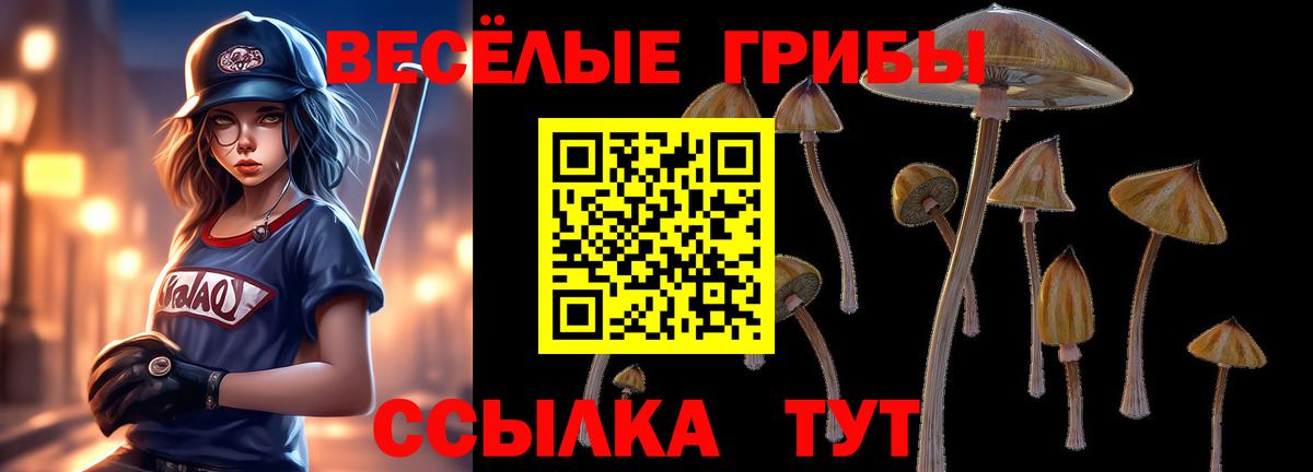 Топки  Галлюциногенные грибы Cubensis  Вход с VPN 